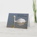 Search for donation thank you cards White