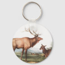 Search for cervus key rings Wildlife