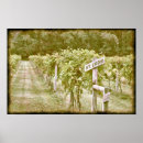 Search for vintage vineyard posters Grapes