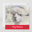 Search for alpaca cards Winter