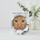 Search for for adoption cards Animal rescue