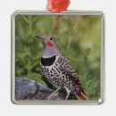 Search for bark christmas tree decorations Usa