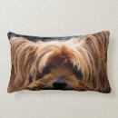 Search for yorkshire terrier cushions Animal
