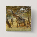 Search for adults badges Baby