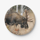 Search for moose paper plates Nature