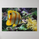 Search for underwater adventure posters Fish
