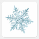 Search for simple snowflakes stickers Pretty