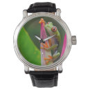 Search for frog watches Wildlife