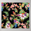 Search for vintage bird illustrations posters Flowers