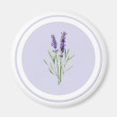 Search for mauve magnets Modern