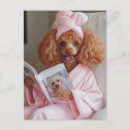 Search for pamper postcards Poodle