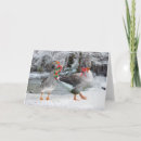 Search for geese christmas cards Nature