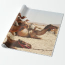 Search for wildlife wrapping paper Retro