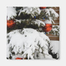 Search for alberta magnets Winter