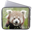 Search for panda laptop cases Kawaii