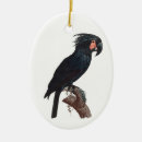 Search for the black forest christmas tree decorations Bird