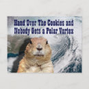 Search for weather forecast postcards Groundhog