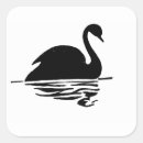 Search for black swan stickers Reflection