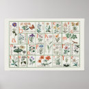 Search for alphabet floral posters Abc