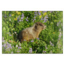 Search for park chopping boards Wildlife