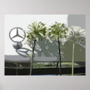 Search for multi region art White