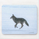 Search for coyotes mousepads Animal lovers