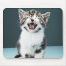 Search for community mousepads Animal