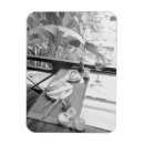 Search for cambodia magnets Tourism