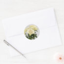 Search for floral photograph stickers Garden