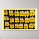 Search for clogs posters Dutch