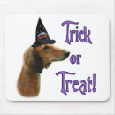 Search for halloween mousepads Animals