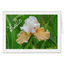 Search for white iris photography Irises