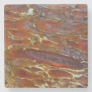 Search for fossil coasters Pattern