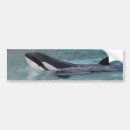 Search for orca bumper stickers Blue