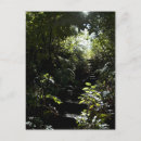 Search for footpath postcards Vertical