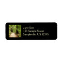 Search for path return address labels Nature