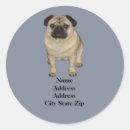 Search for pug mom stickers Puppy