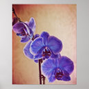Search for blue orchid art Flower