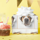 Search for nose wrapping paper Dog