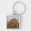 Search for grassland key rings Field