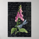Search for dragonfly illustration posters Pink