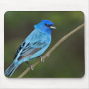 Search for bunt mousepads Bird