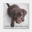 Search for sweet dog magnets Pets