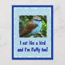 Search for comical birds postcards Feathers