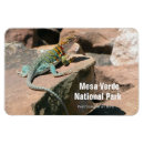 Search for mesa verde Scenic