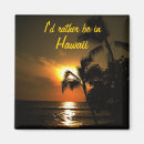 Search for hawaii magnets Palm trees