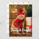 Search for furry and bright christmas cards Dog