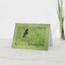 Search for x wing thank you cards Photography