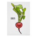 Search for radish posters Veggies