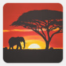 Search for elephants sunset stickers Africa